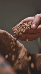 DiFluid Omix Plus hos Home Roast