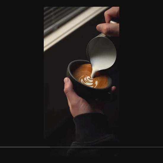 Espressomaskine Kompakt Video Home Roast